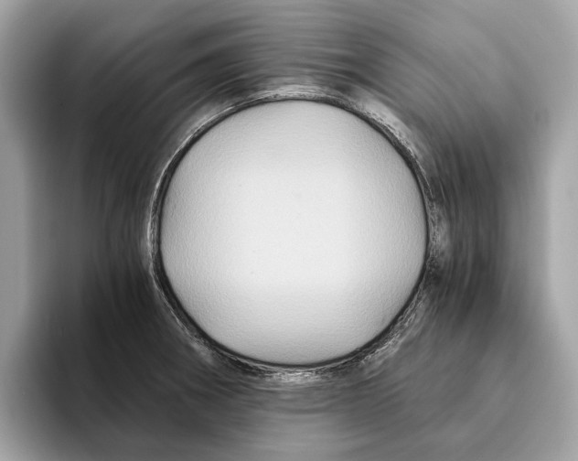 X0000095541282200801111426