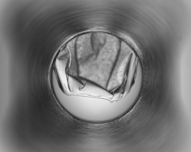 X0000095541284200801111426