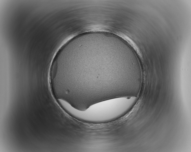 X0000095541285200801111426