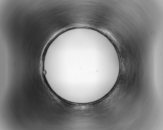 X0000095541286200801111426