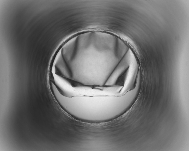 X0000095541288200801111426