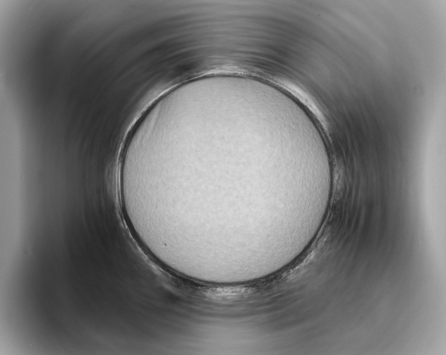 X0000095541290200801111426