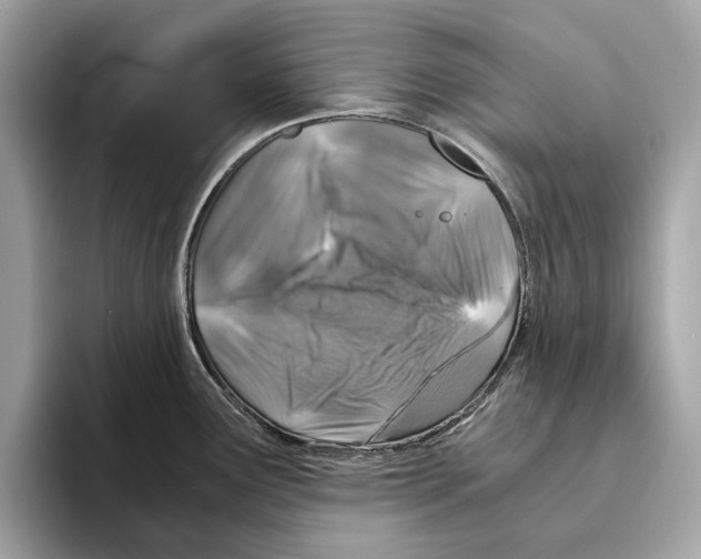 X0000095541291200801111426