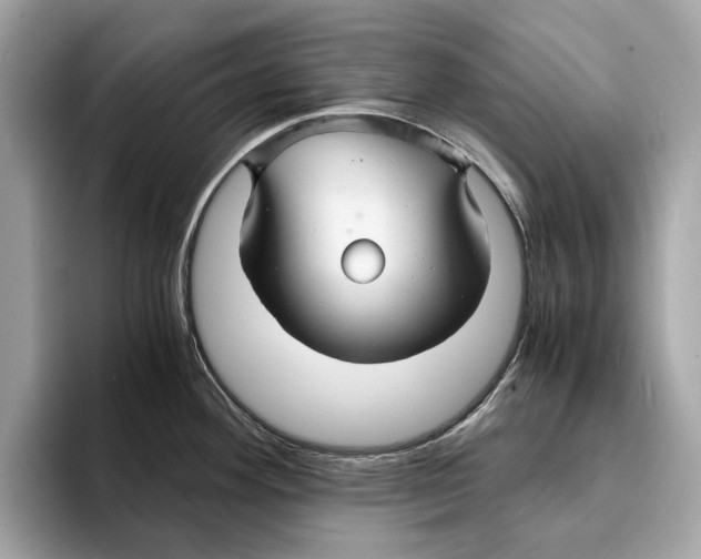 X0000095541292200801111426