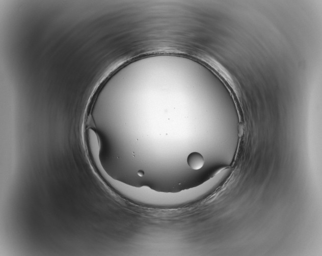 X0000095541293200801111426