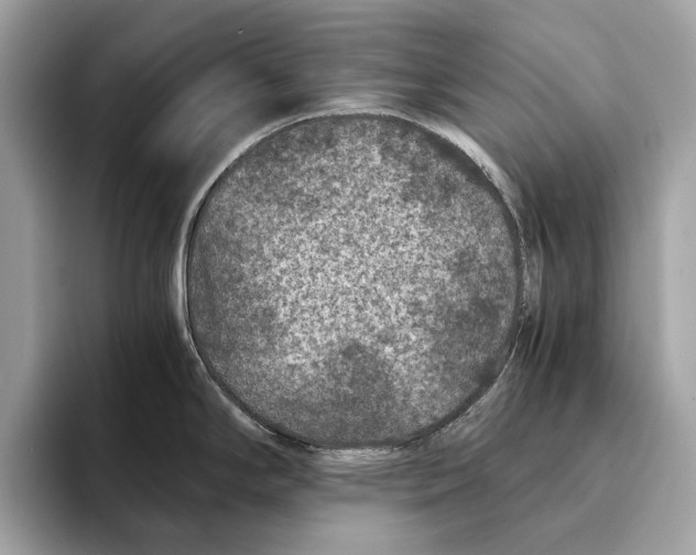 X0000095541294200801111426