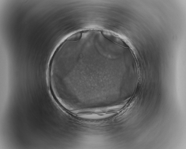 X0000095541295200801111426