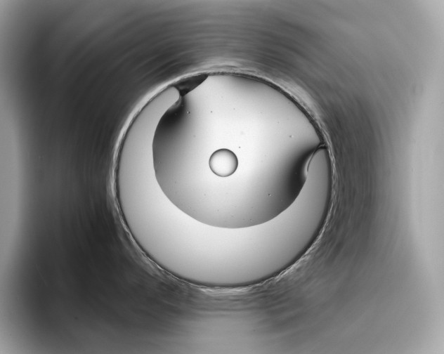 X0000095541296200801111426