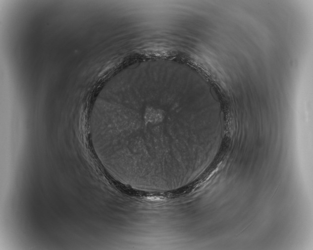 X0000095541297200801111425