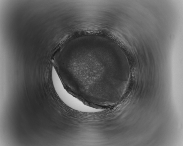 X0000095541298200801111425