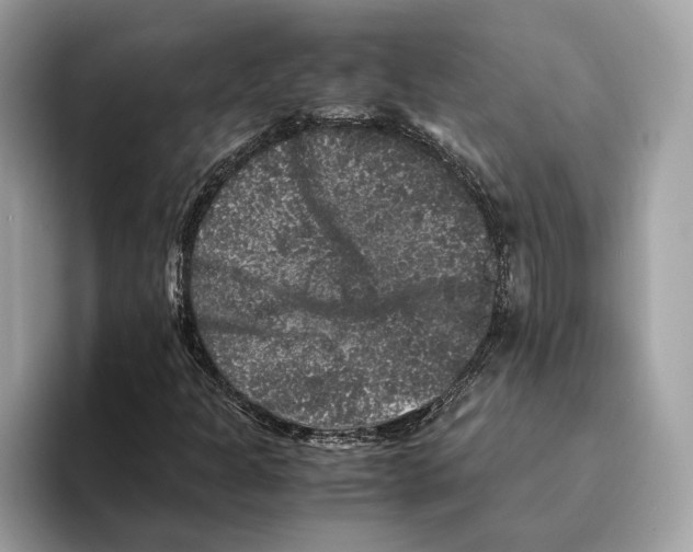 X0000095541301200801111425