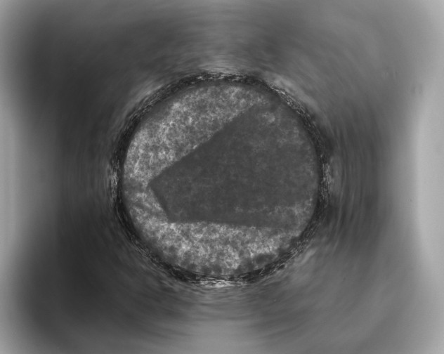 X0000095541302200801111425