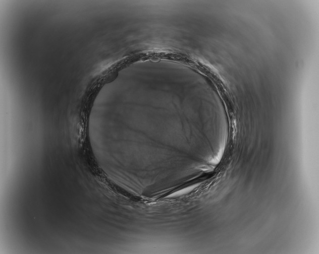 X0000095541303200801111425