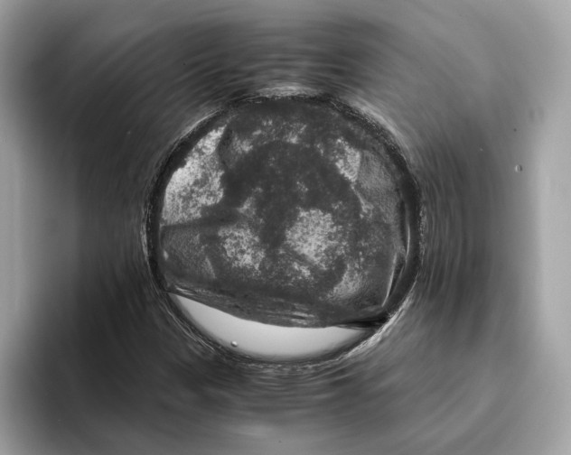 X0000095541305200801111425