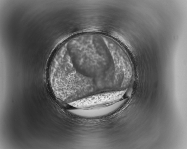 X0000095541308200801111425