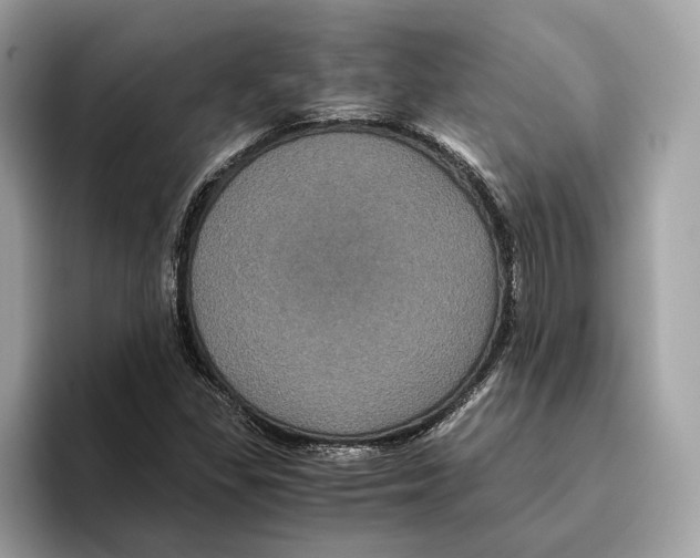 X0000095541309200801111425