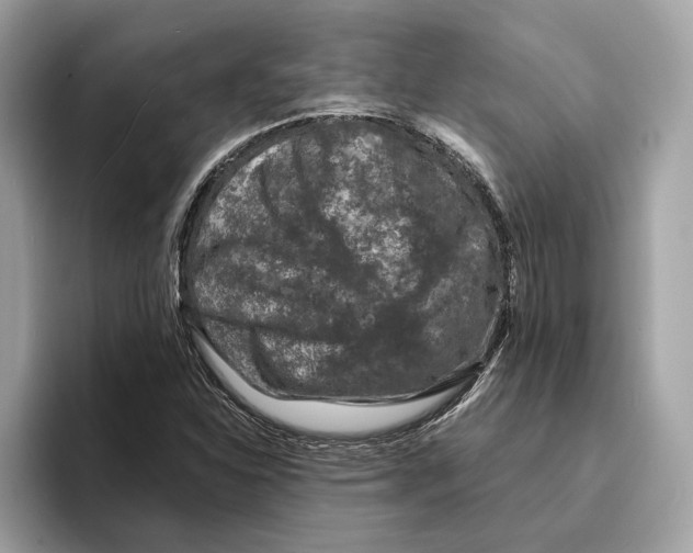 X0000095541310200801111425