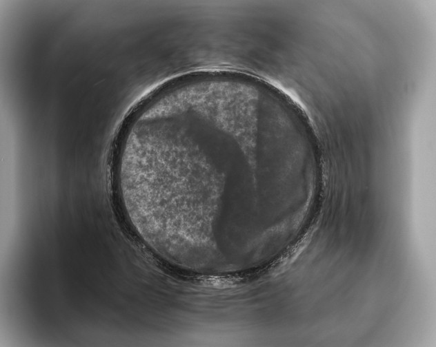 X0000095541311200801111425