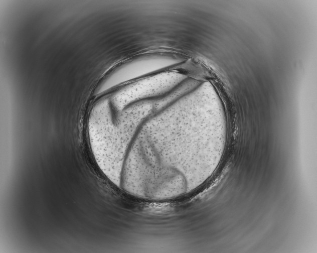 X0000095541313200801111425