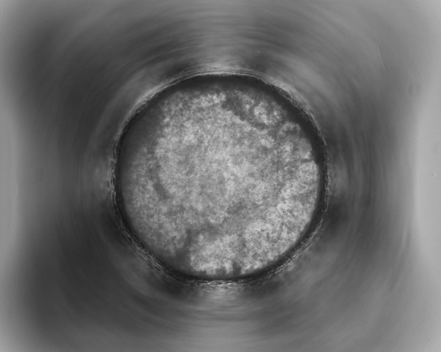 X0000095541314200801111425