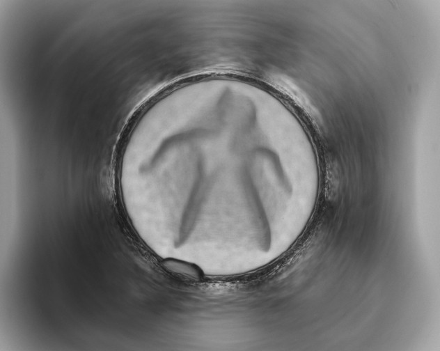 X0000095541316200801111425