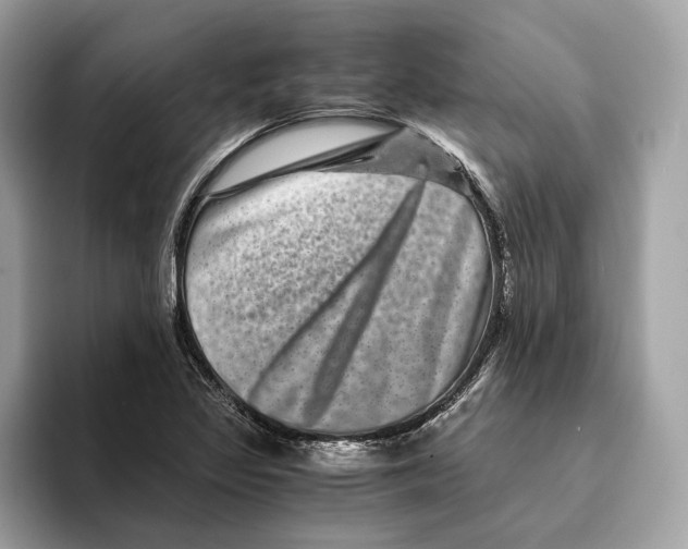 X0000095541317200801111425