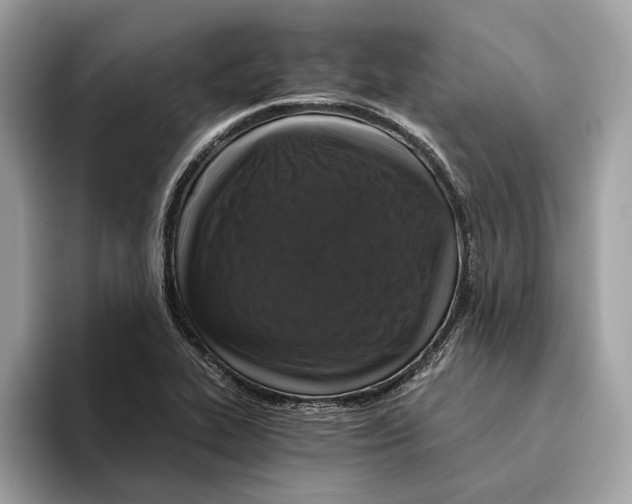 X0000095541319200801111425