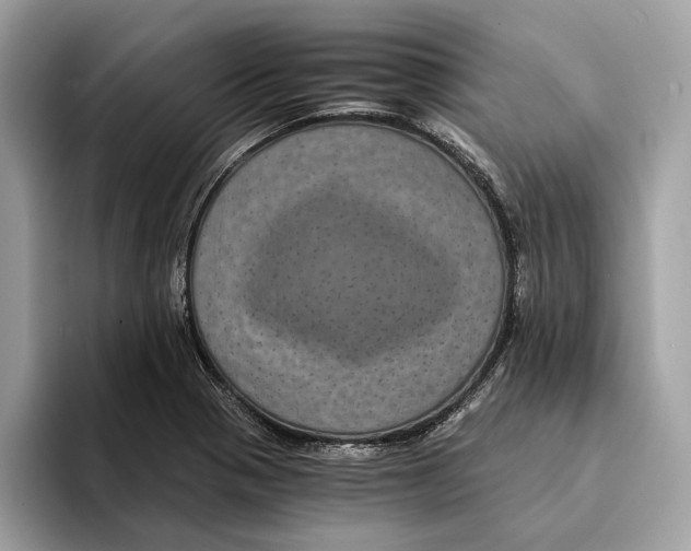 X0000095541321200801111425