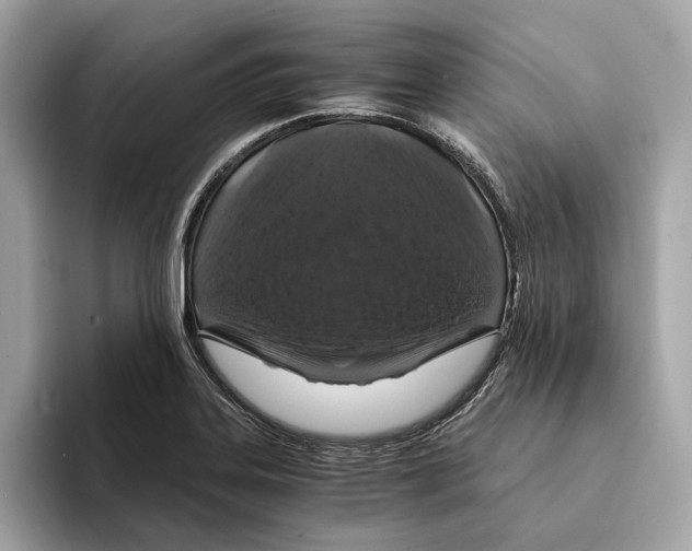 X0000095541323200801111425