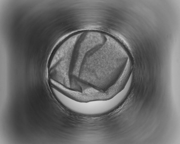 X0000095541324200801111425