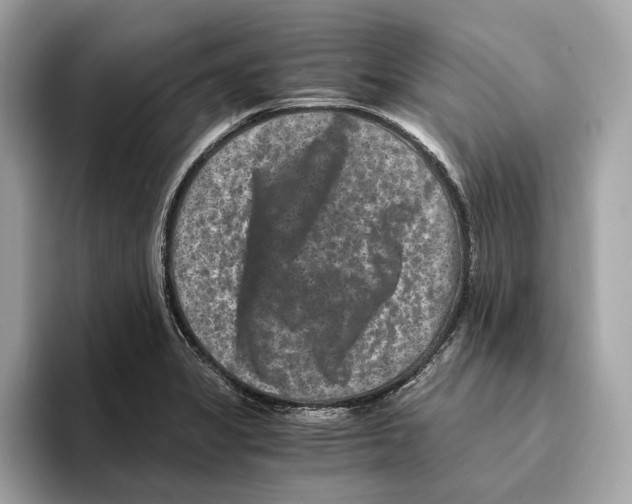 X0000095541325200801111425