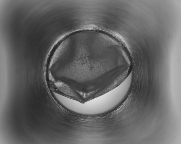 X0000095541326200801111425