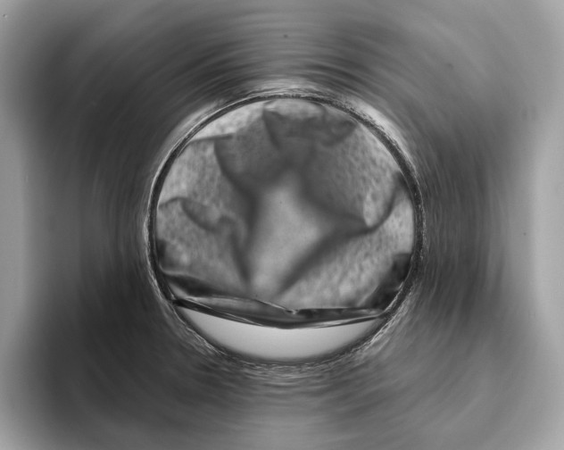 X0000095541330200801111425