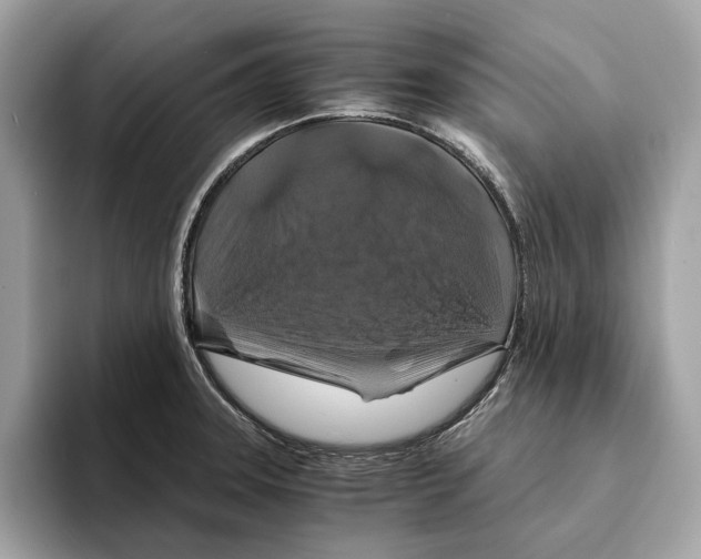 X0000095541331200801111425