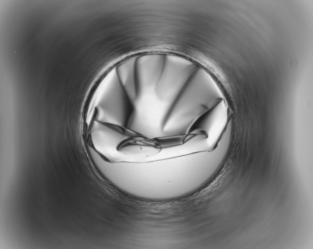 X0000095541332200801111425