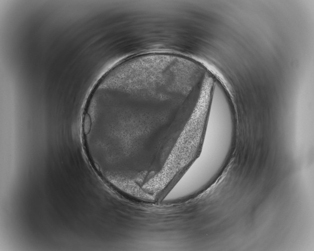 X0000095541333200801111425