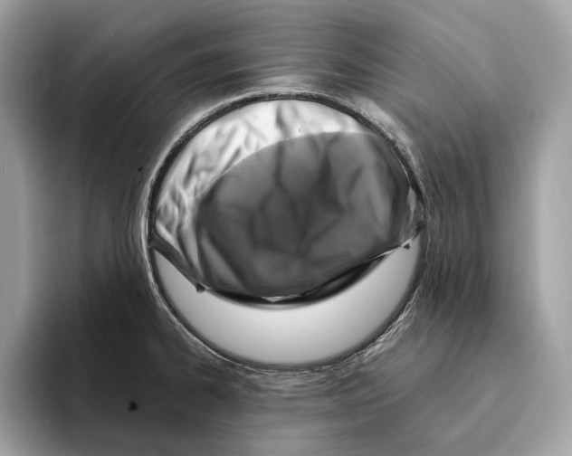 X0000095541334200801111425