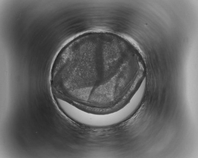 X0000095541335200801111425