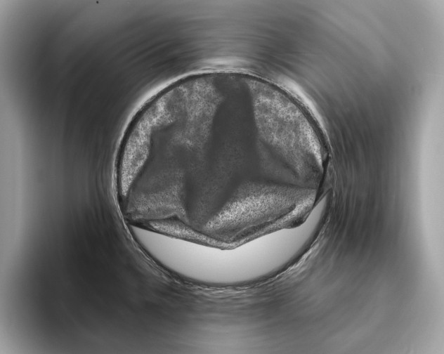 X0000095541336200801111425