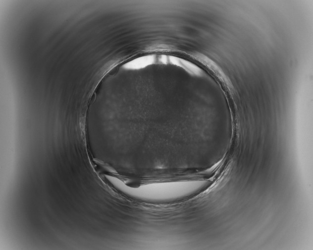 X0000095541337200801111425