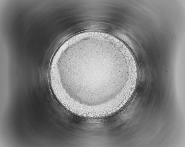 X0000095541338200801111425