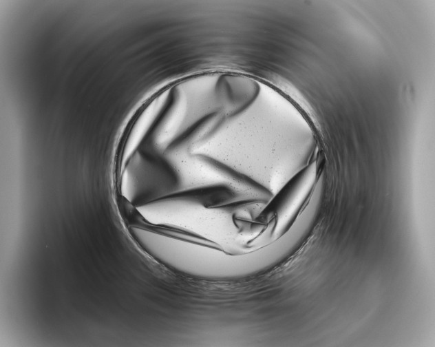 X0000095541339200801111425