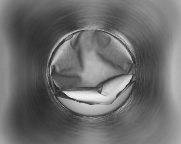 X0000095541340200801111425