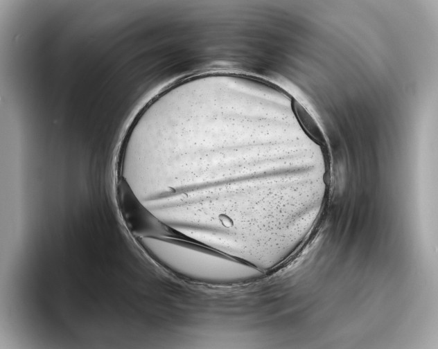 X0000095541341200801111425