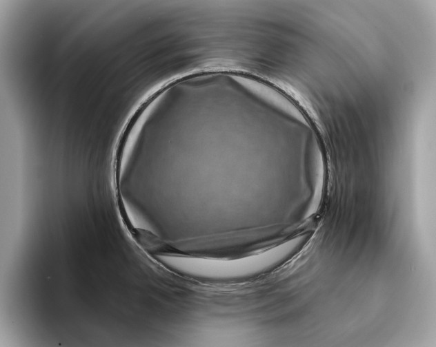 X0000095541342200801111425