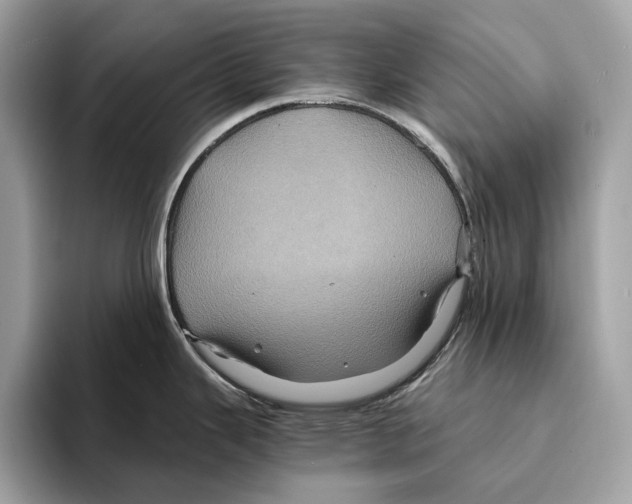 X0000095541343200801111425