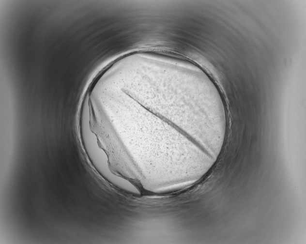 X0000095541344200801111425