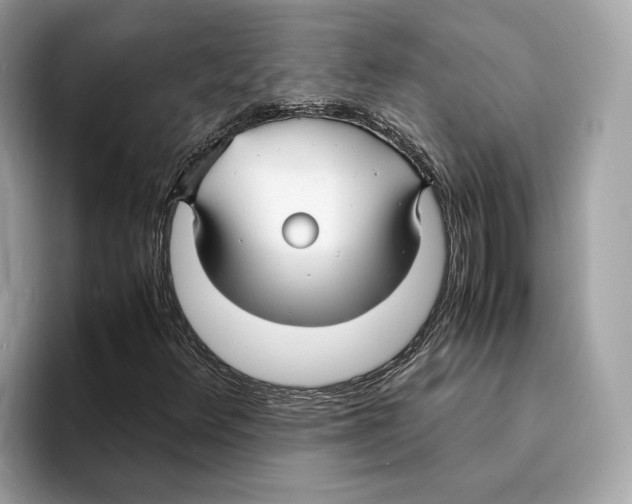 X0000095541348200801111425