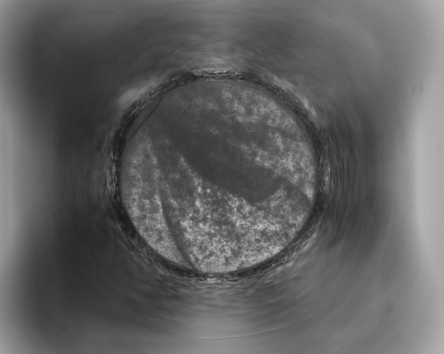 X0000095541350200801111425