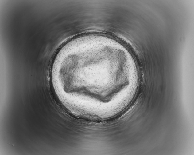 X0000095541355200801111425